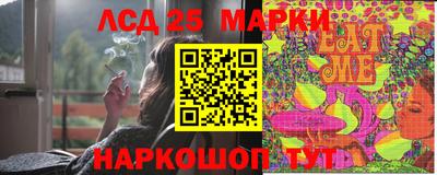 шишки Тара