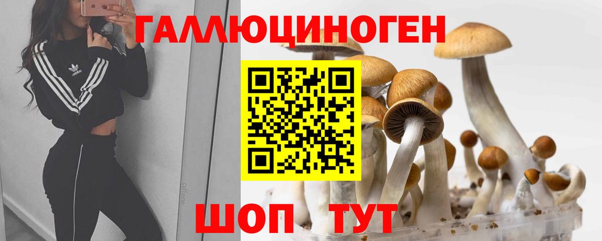Псилоцибиновые грибы GOLDEN TEACHER  Вход с VPN  Нижнеудинск 